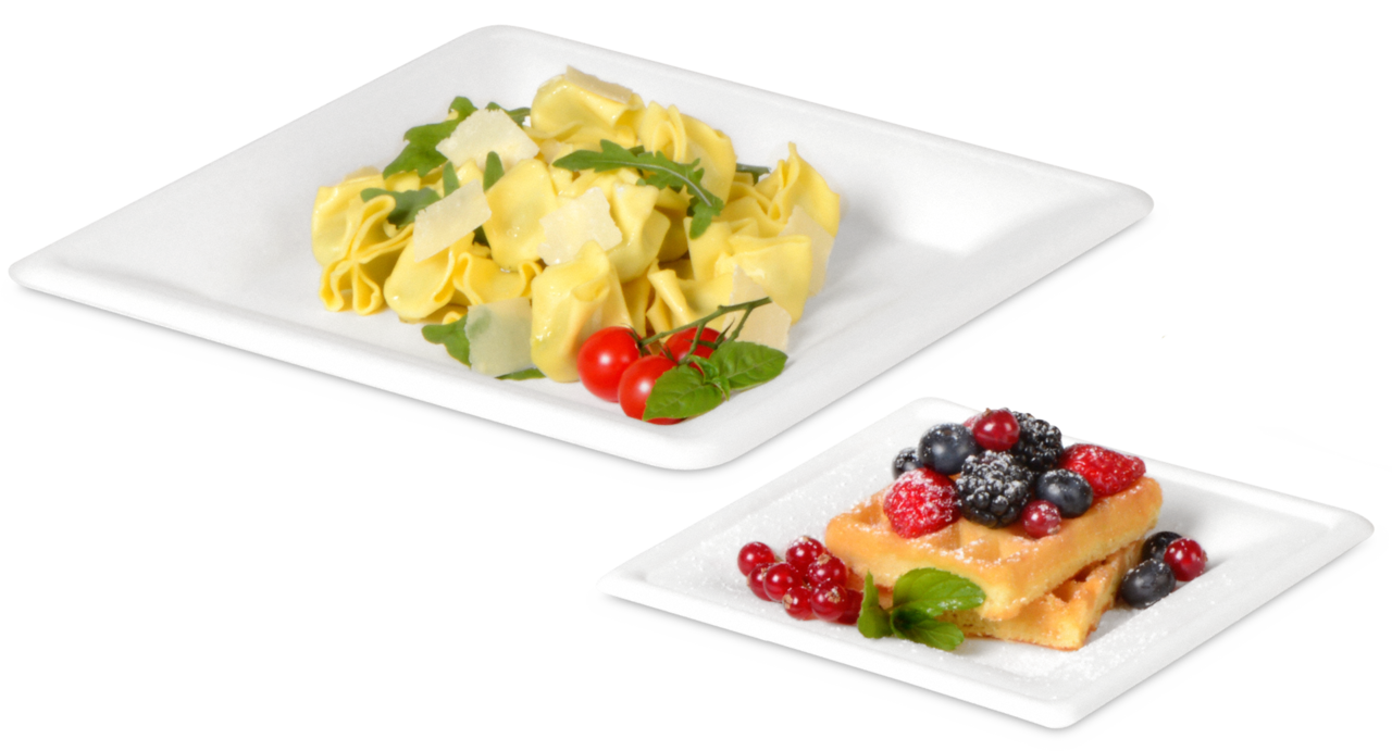 Teller aus Bagasse eckig