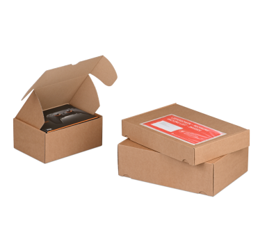 Klappschachtel mit Einstecklaschen