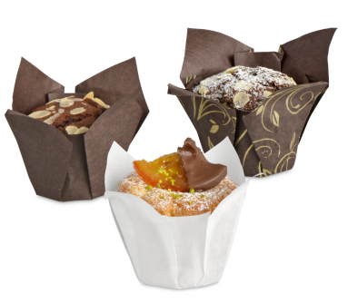 Tulip-Cup 150×150 mm