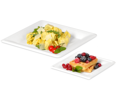 Teller aus Bagasse eckig