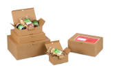 Blitzbodenkarton QUICK-BOX® mit Steckverschluss, braun