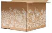 natürlicher, weißer Aufdruck in elegantem, floralen Design mit Blüten- und Blätter-Motiv