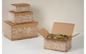 E-Commerce Karton COMFORT-BOX mit Natur Motiv