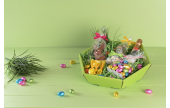 mit passendem Füllmaterial wird der leere Geschenkkorb zur geeigneten Geschenkverpackung