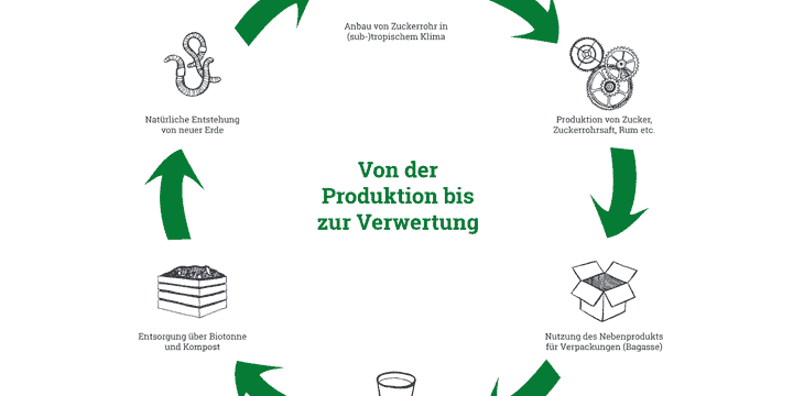 infografik wie aus zuckerrohr bagasse wird