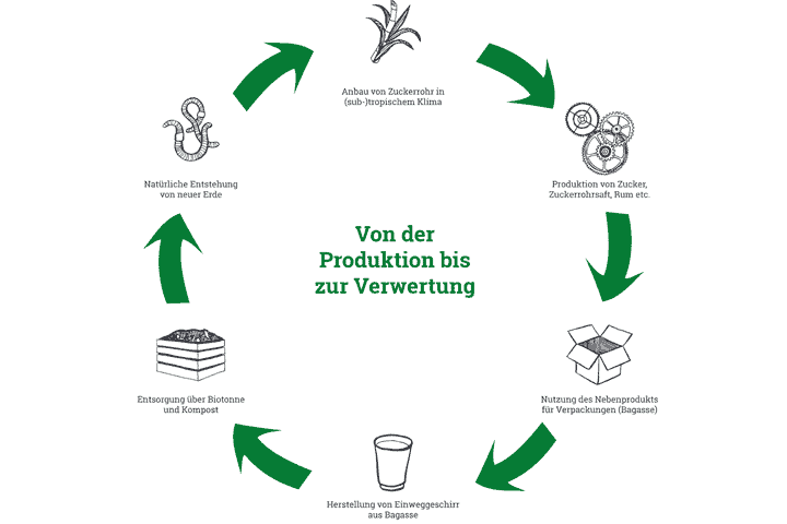 infografik wie aus zuckerrohr bagasse wird