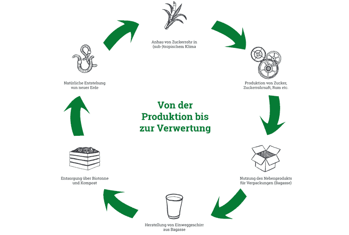 Infografik...wie aus Zuckerrohr Bagasse wird!