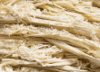 material bagasse