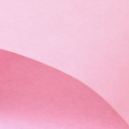 rosa
607.028