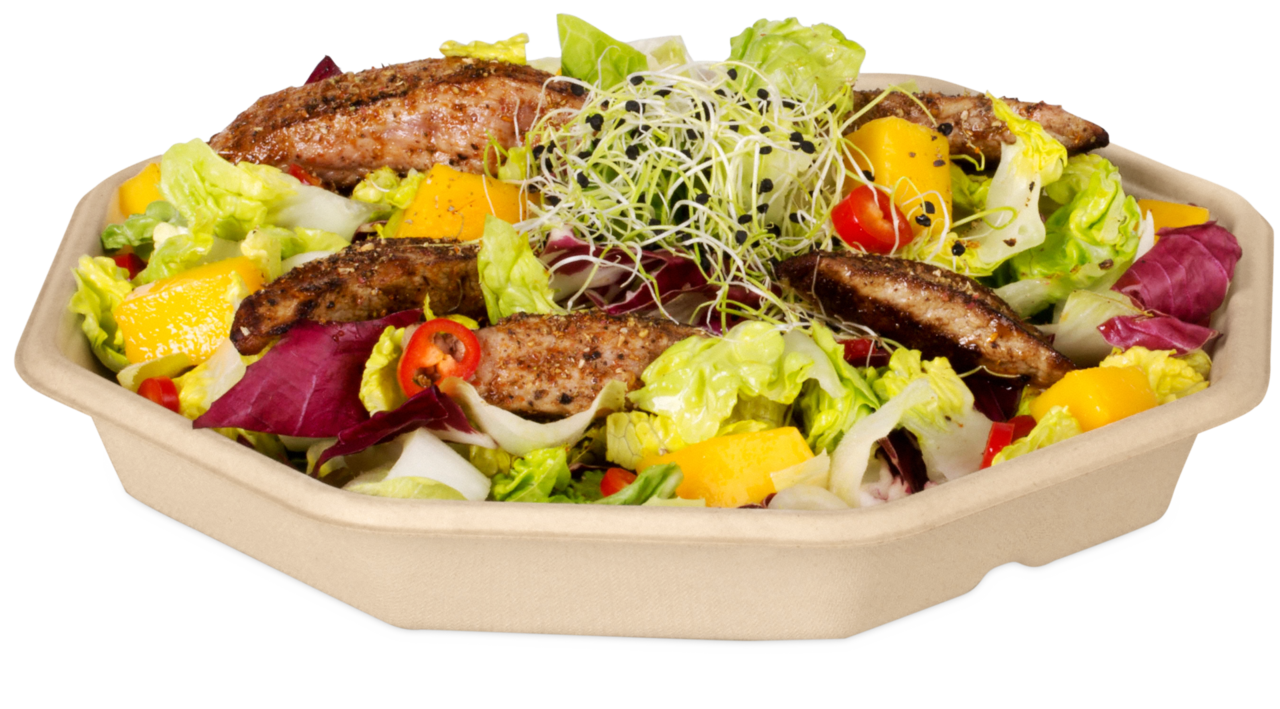 Schale aus Bagasse achteckig