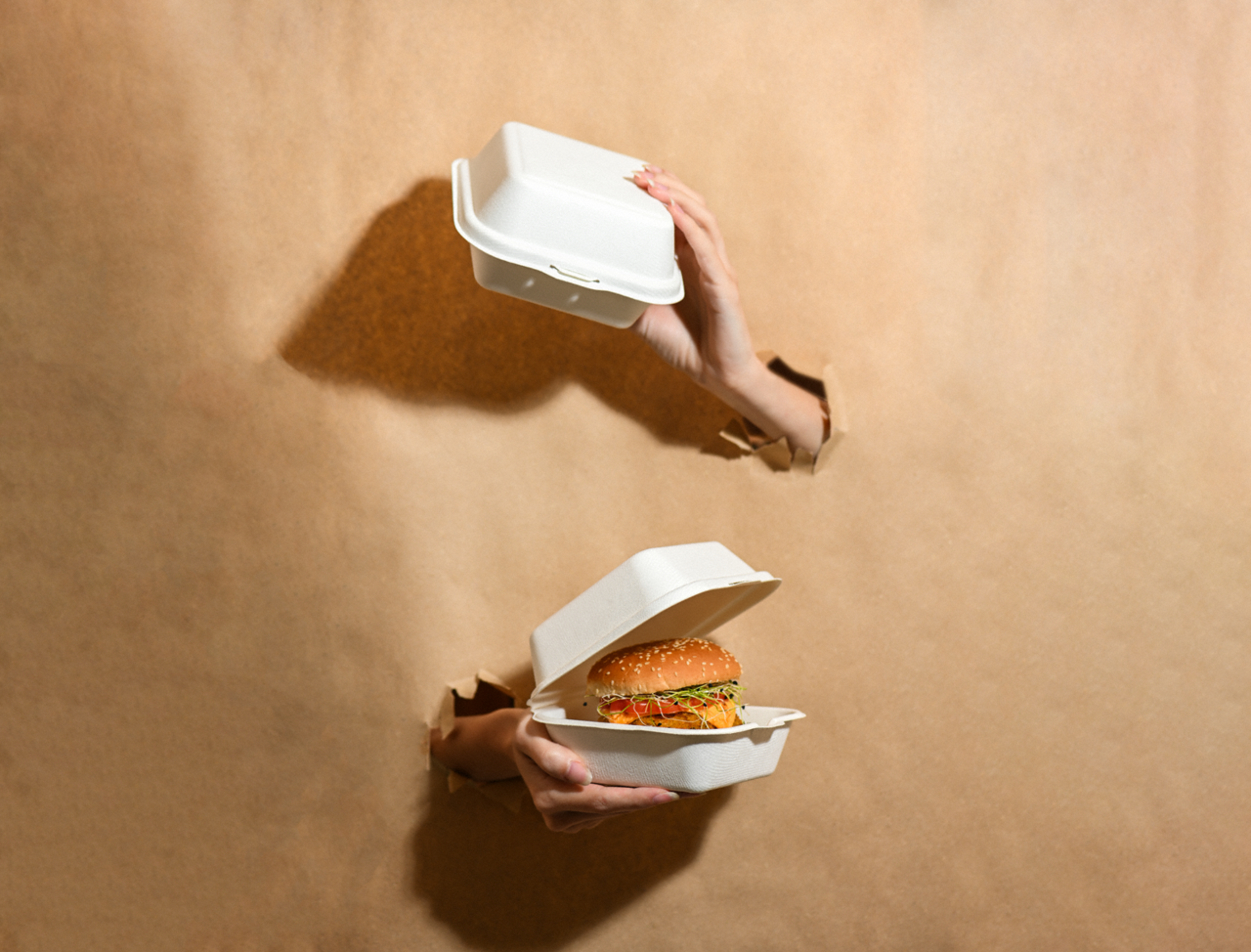 Burger-Box aus Bagasse