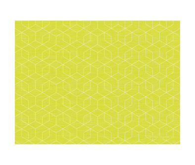 Bio-Tischset Dunicel 30&times;40 cm, Graphics kiwi