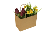 Die Papiertasche eignet sich auch f&uuml;r Blumen, Kr&auml;uter oder kleine Pfl&auml;nzchen.