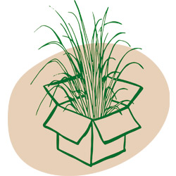 Verpackungen aus Graspapier entdecken Verpackungen aus Graspapier