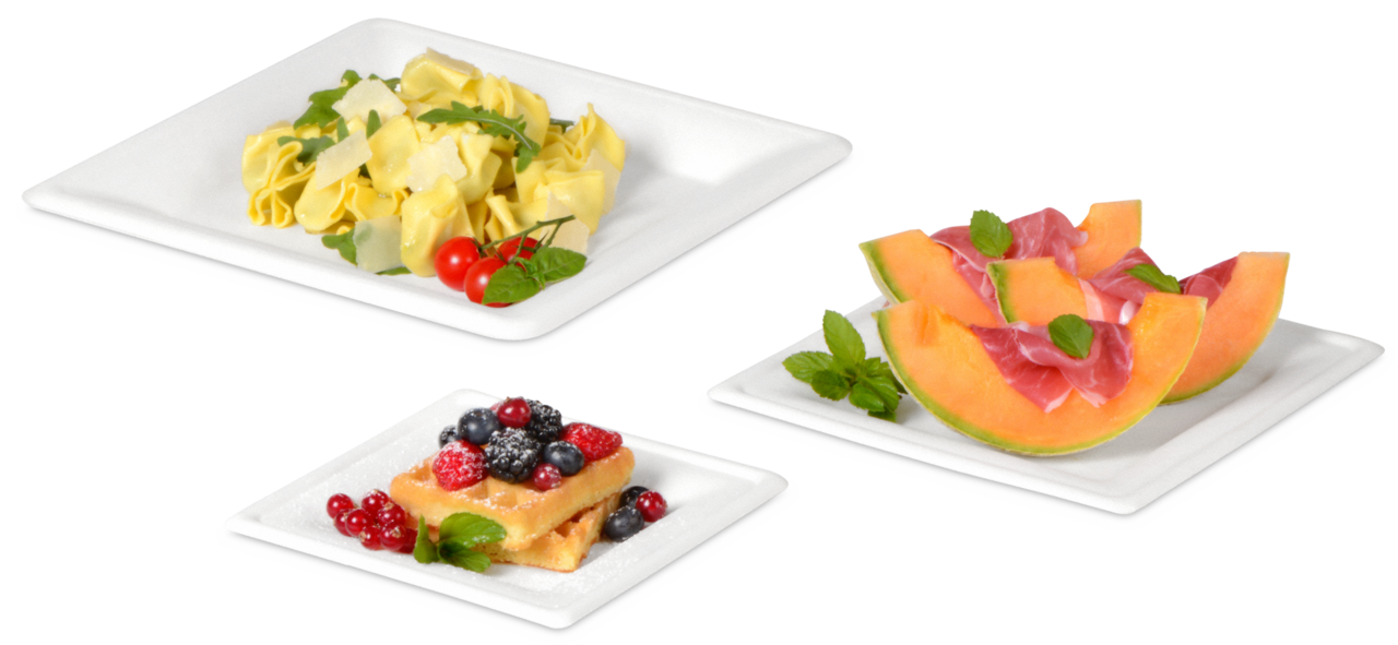Teller aus Bagasse eckig