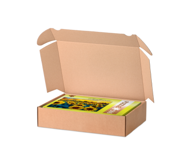 DHL Kleinpaket Karton mit Einstecklaschen