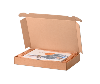 Maxibriefkarton mit Einstecklaschen