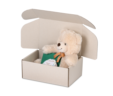 Geschenkkarton mit Klappdeckel GRAS-PAC