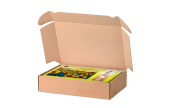 DHL Kleinpaket Karton mit Einstecklaschen