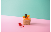 nachhaltige Verpackung für Eis mit Früchten 