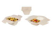 To-Go-Box aus Zellstoff