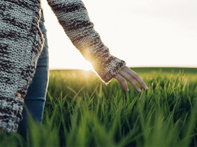 Hand streicht durch frisches Gras