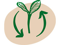 Icon von packVerde zu nachwachsenden Rohstoffen