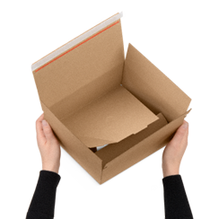 Aufrichtekartons mit Automatikboden