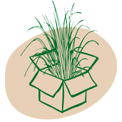 Graspapier Verpackungen