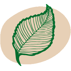 Nachhaltige Materialien 